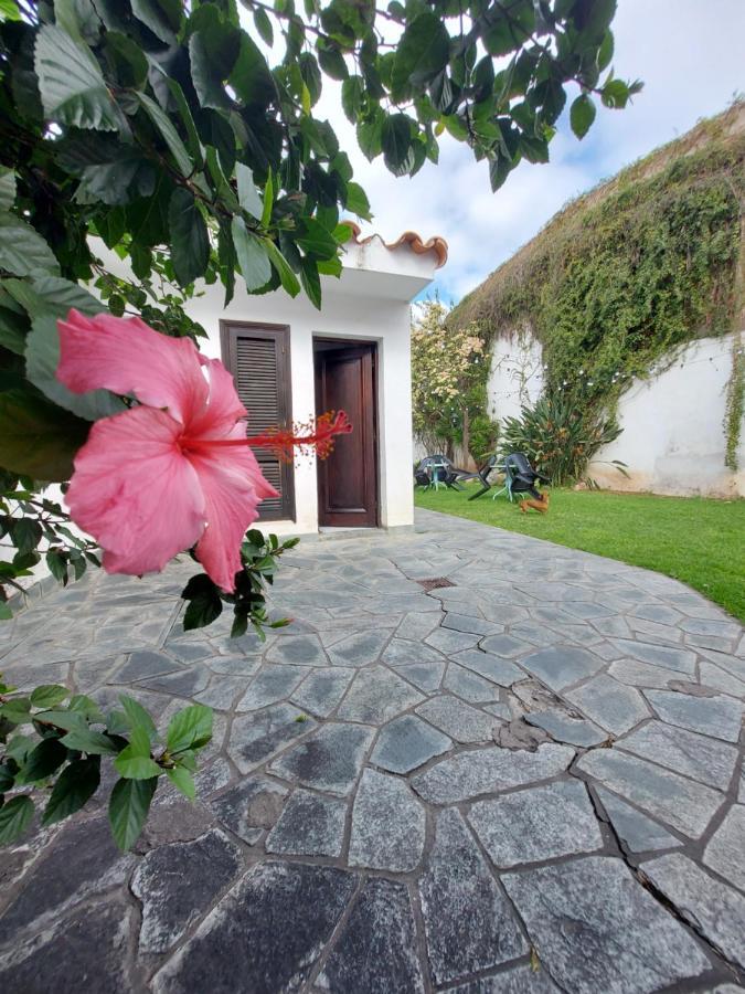 Coya Hostel 살타 외부 사진
